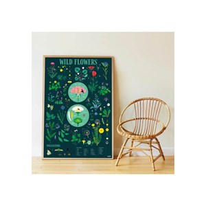 Poster découverte avec stickers botaniqu