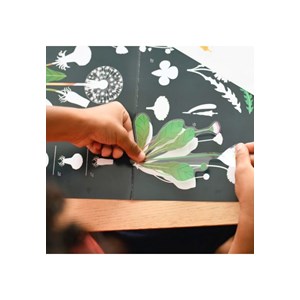 Poster découverte avec stickers botaniqu