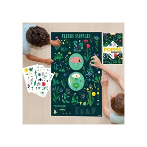Poster découverte avec stickers botaniqu