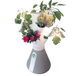 Potager vertical connecté - 6 cultures