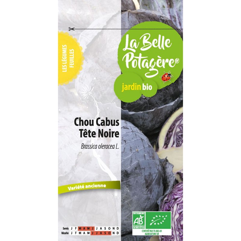 Chou rouge tête noire 0.2 g