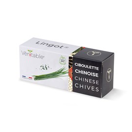 Lingot ciboulette chinoise bio