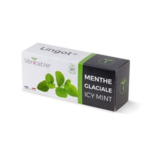 Lingot menthe glaciale bio