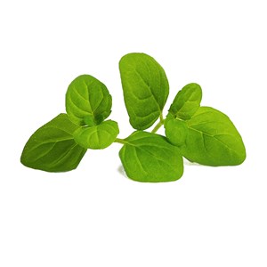 Lingot menthe glaciale bio