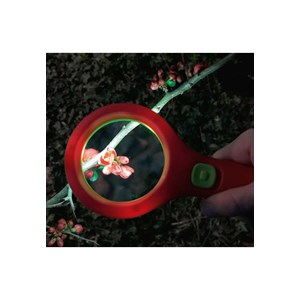 Loupe lumineuse avec leds