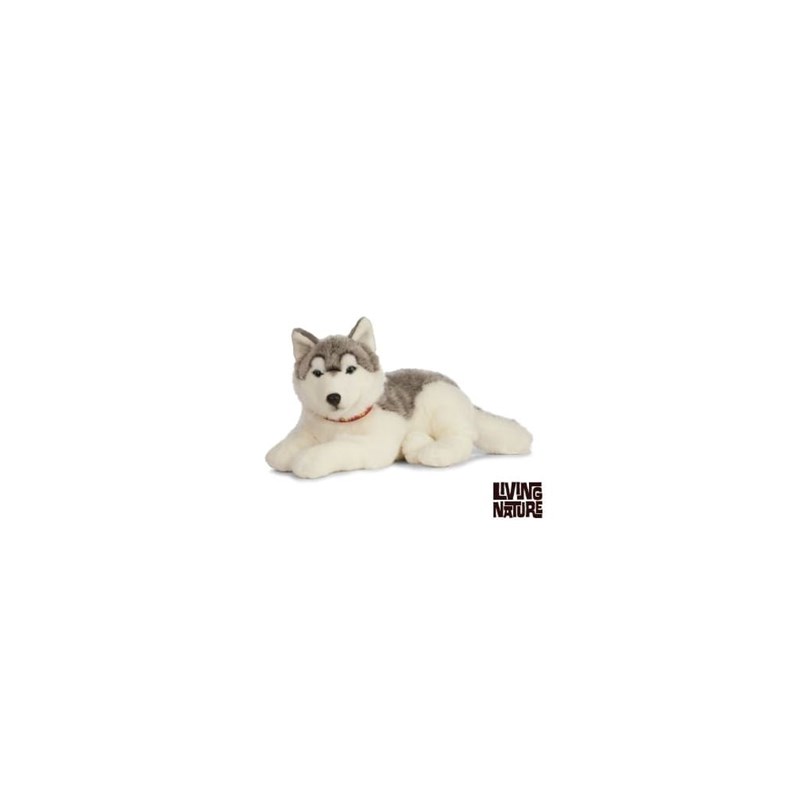 Peluche géant husky