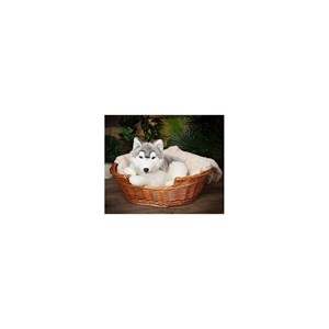 Peluche géant husky