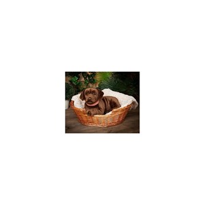 Peluche géant labrador chocolat 60 cm