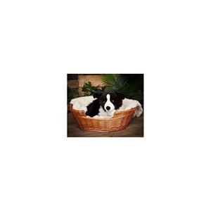 Peluche géant border collie 60 cm