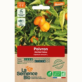 Poivron mini bell yellow - graines bio