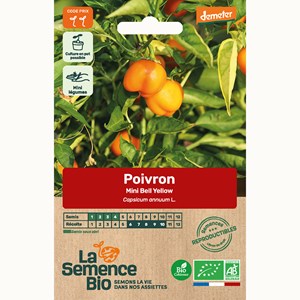 Poivron mini bell yellow - graines bio