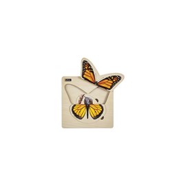 Puzzle cycle de vie -papillon