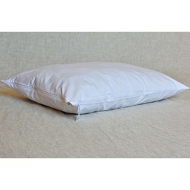 Oreiller ferme laine& latex bio 60x60