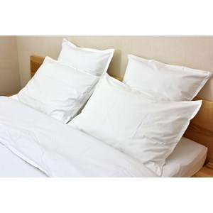 Sous-taie oreiller coton bio 60x60