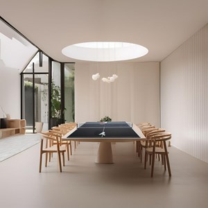 Ping pong flexi ping pong sokker