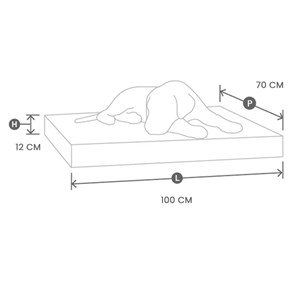 Dauphine, lit chien orthopédique mocca l