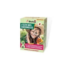 Kit : j'élève mes coccinelles