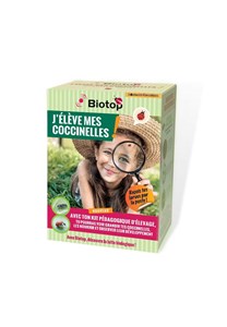 Kit : j'élève mes coccinelles