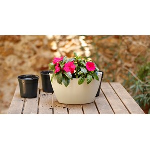 Pot mural à arrosage, blanc