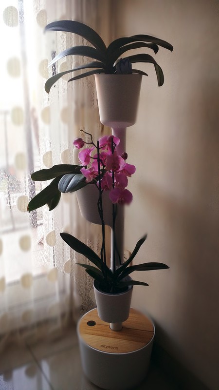 Citysens - Jardinière verticale smart, 3 pots gris