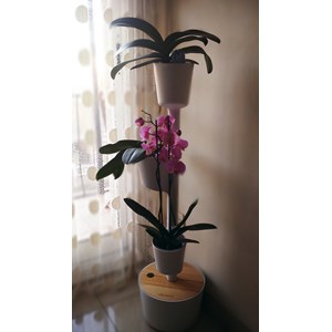Jardinière verticale smart, 3 pots gris