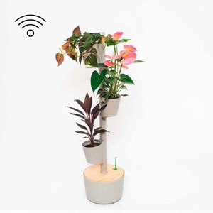 Jardin intelligent smart, 3 pots gris