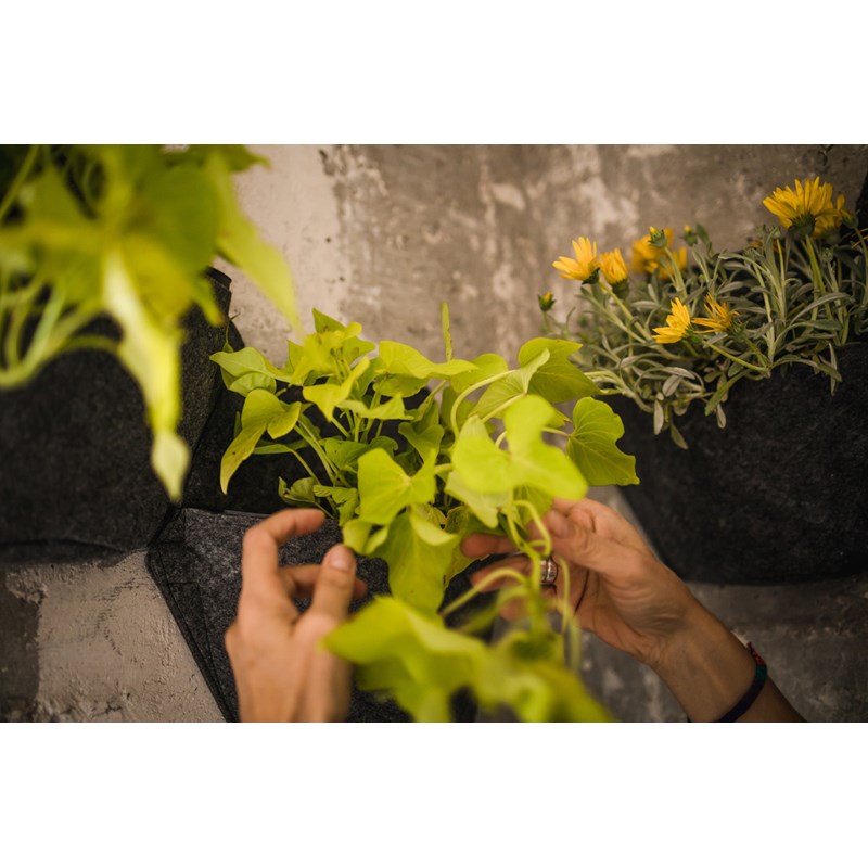 Pack 3 pots textile à arrosage, blanc