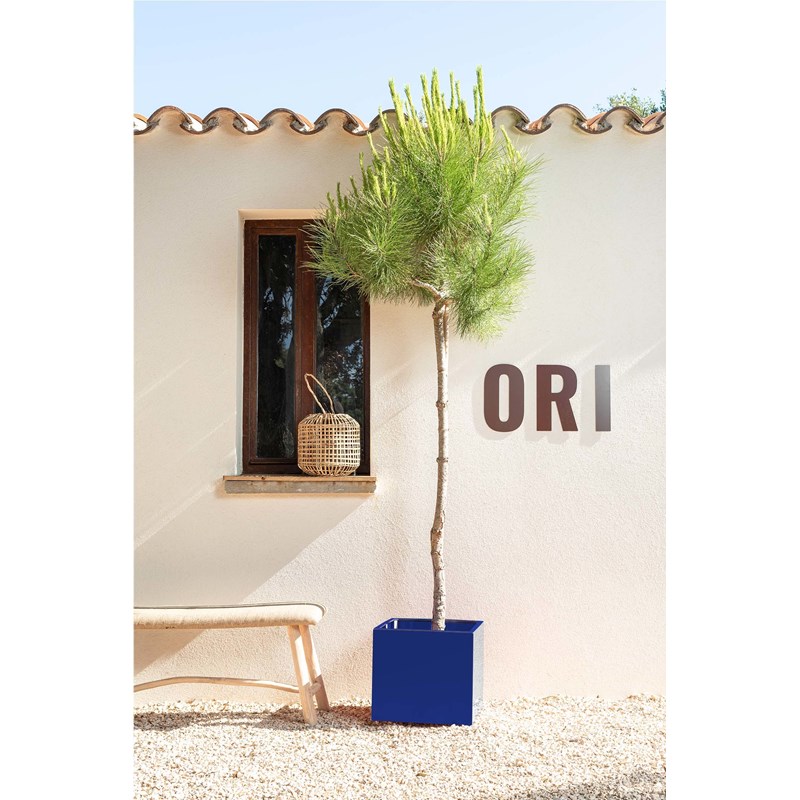 ORI - Bleuet - bac à fleurs - bleu