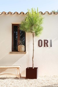 Bleuet - bac à fleurs - marron