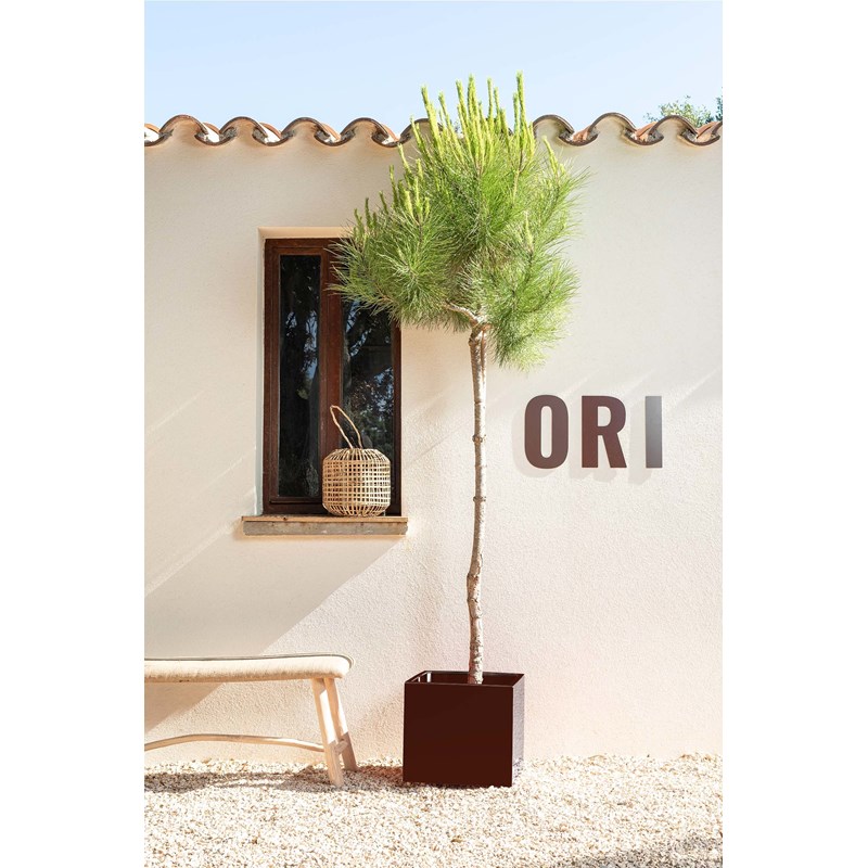 ORI - Bleuet - bac à fleurs - marron