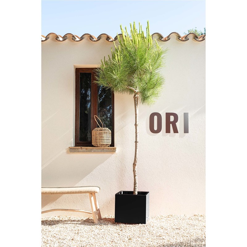 ORI - Bleuet - bac à fleurs - noir