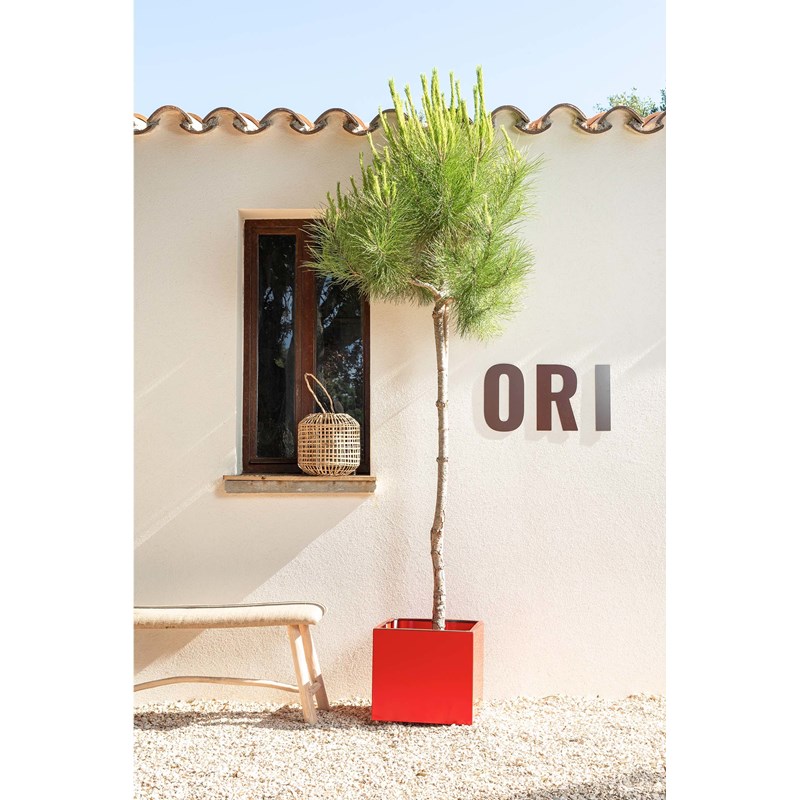 ORI - Bleuet - bac à fleurs - rouge