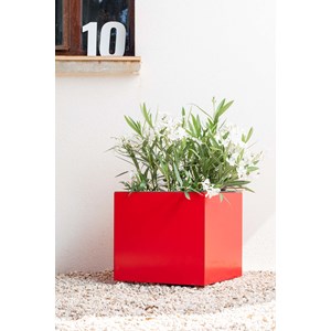 Bleuet - bac à fleurs - rouge