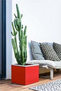 Carline - bac à fleurs - bois -rouge