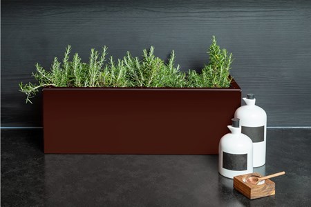 Dahlia - bac à fleurs -marron