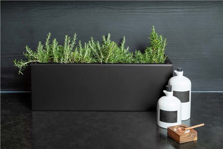 Dahlia - bac à fleurs -noir