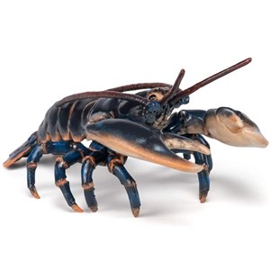Figurine homard