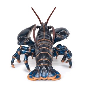 Figurine homard