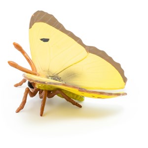 Figurine papillon souci jaune