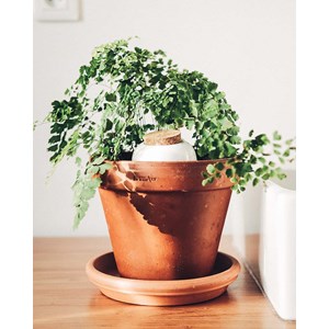 Olla pepin - terracotta