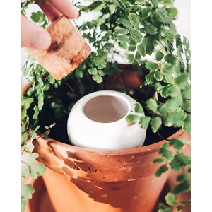 Olla pepin - terracotta