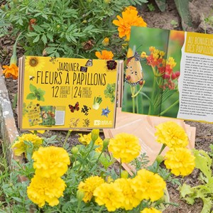 Coffret : je fais pousser mes 12 fleurs à papillons