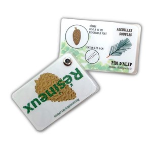 Carnet arbres, feuillus et résineux