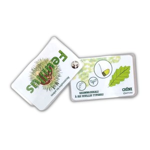 Carnet arbres, feuillus et résineux