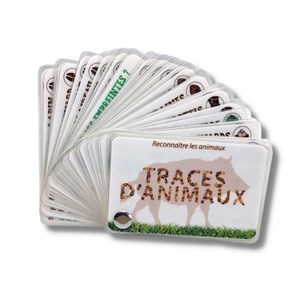 Carnet traces d'animaux