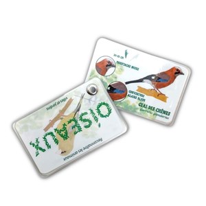Carnet oiseaux des jardins et des villes
