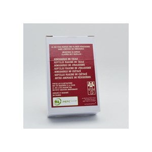 Jeu des 7 familles les dinosaures