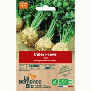 Céleri-rave prinz - graines bio