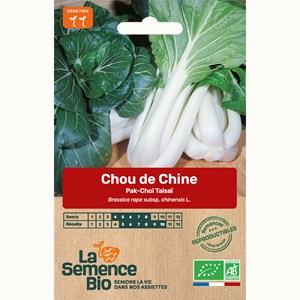 Chou de chine pak-choï taisaï - graine