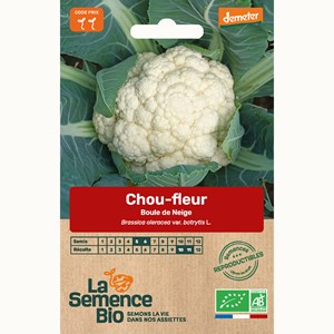 Chou-fleur boule de neige - graines bio